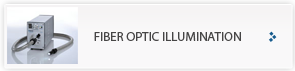 Fiber optic lighting for machine vision applications