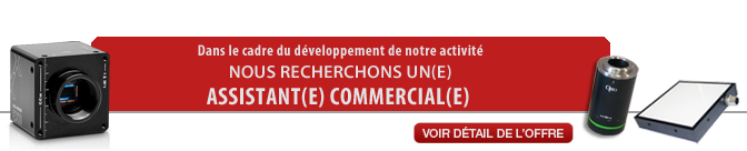 recrutement commerce